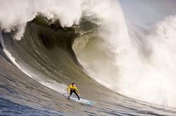 爱游戏官方入口-绿茵场与硬木地，封锁的艺术