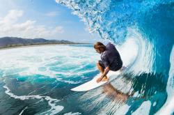 AYXapp下载-意甲焦点战与灰熊粉碎猛龙，体育世界中的唯一性对决