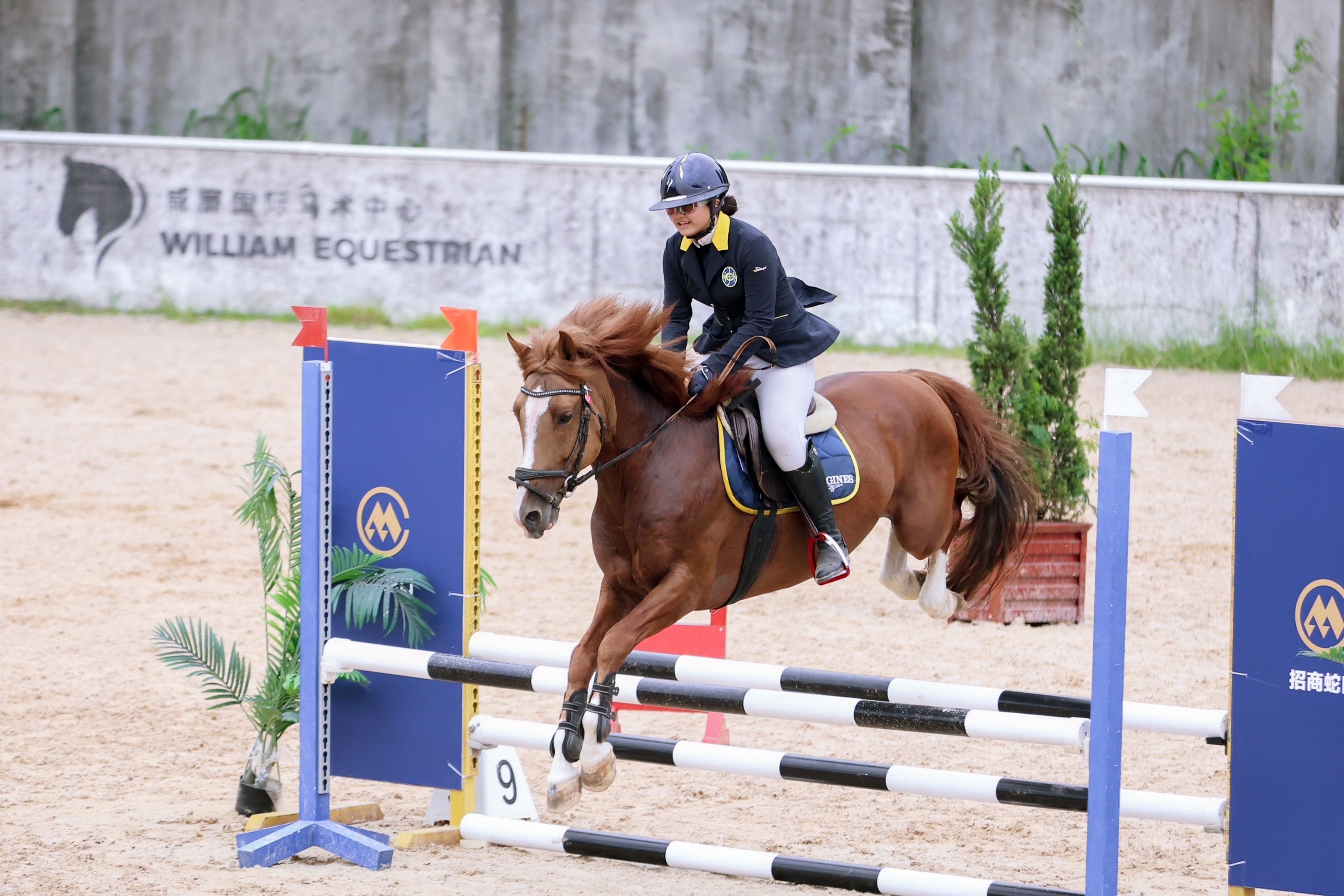 包含切磋技艺！全球选手同场竞技的词条
