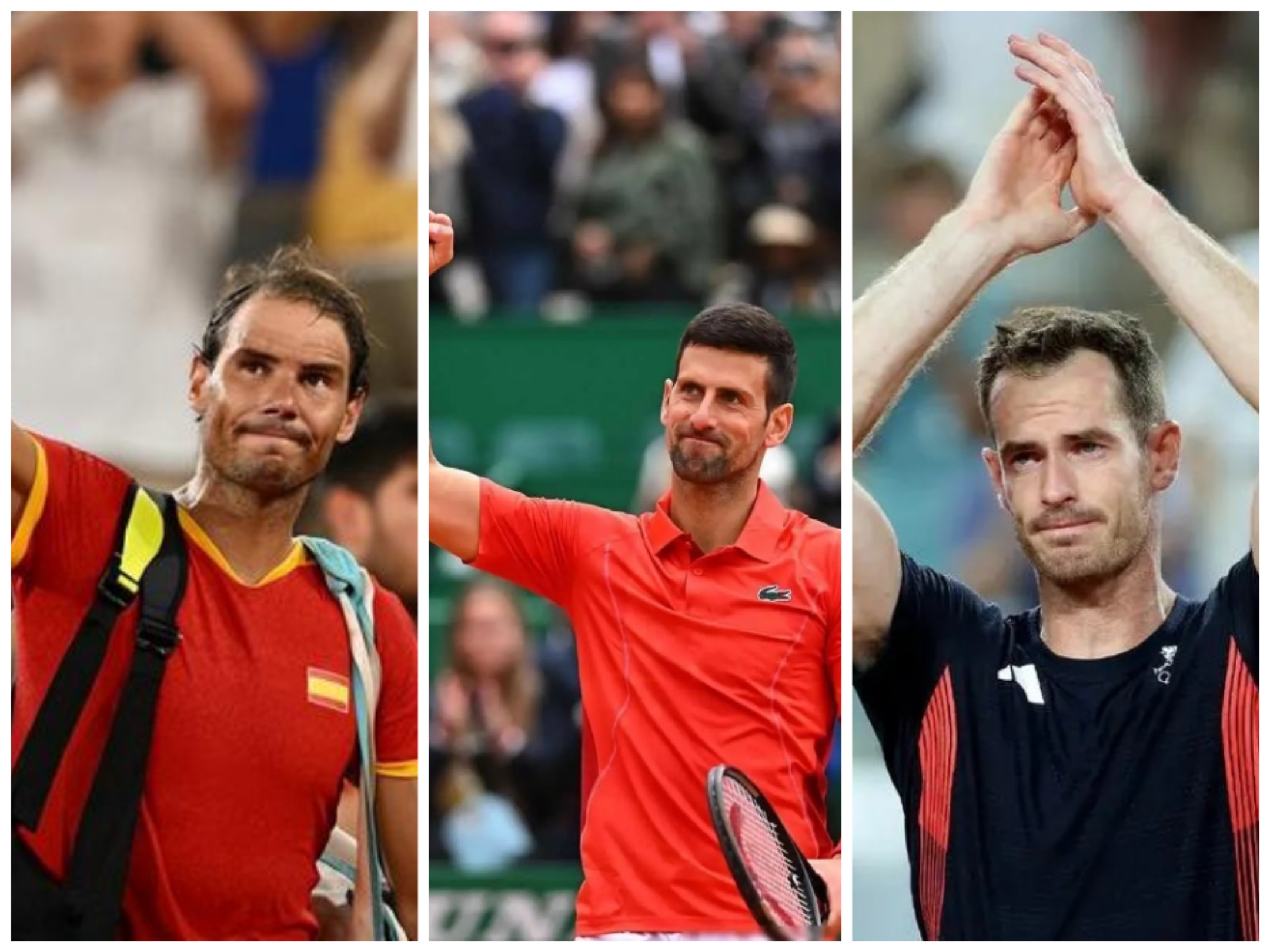 关于意大利网球队横扫世界网球队，穆雷制霸全场的信息